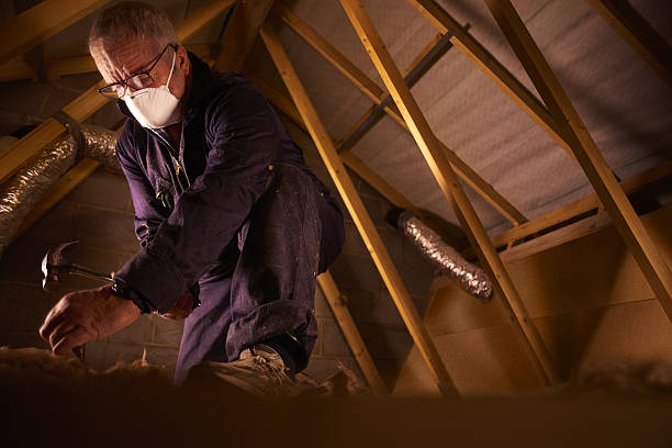 Best Insulation for Specific Applications in Clayton, AL