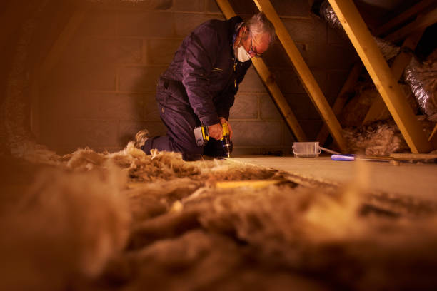 Best Types of Insulation in Clayton, AL